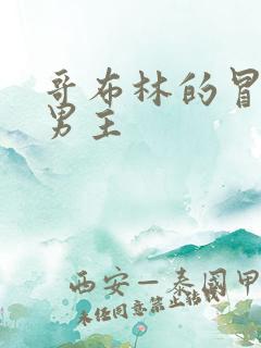 哥布林的冒险双男主