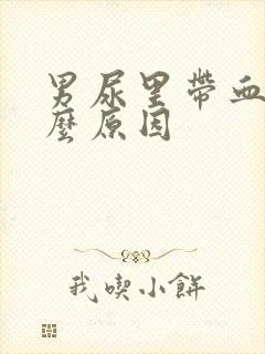 男尿里带血是什么原因