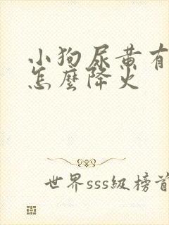 小狗尿黄有眼屎怎么降火