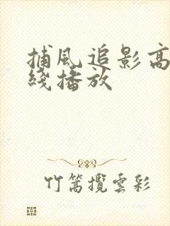 捕风追影高清在线播放