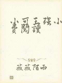 小可王强小说免费阅读