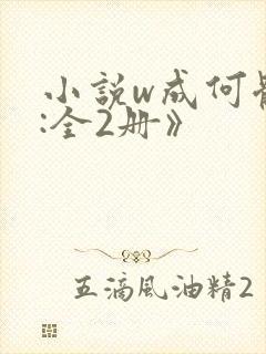 小说w成何体统:全2册》