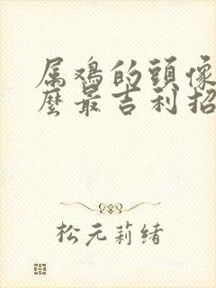 属鸡的头像用什么最吉利招财