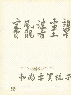 定风波电视剧免费观看王星越