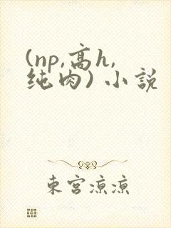 (np,高h,纯肉) 小说