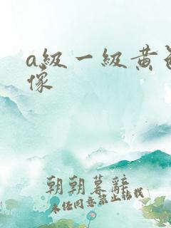 a级一级黄色录像