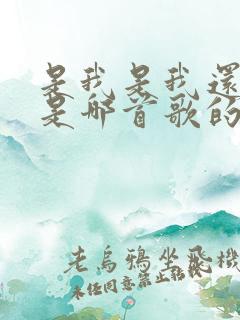 是我是我还是我是哪首歌的歌词