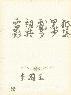 电视剧黑狐之风影共多少集