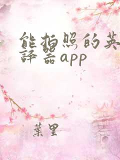 能拍照的英语翻译器app