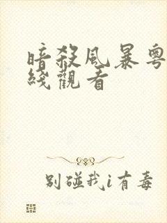 暗杀风暴粤语在线观看