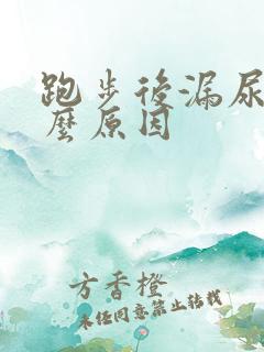 跑步后漏尿是什么原因