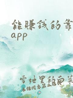 能赚钱的靠谱的app