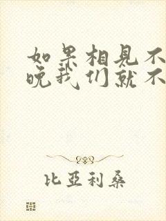 如果相见不会太晚我们就不会悲伤是什么歌