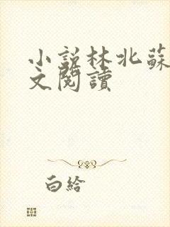小说林北苏婉全文阅读