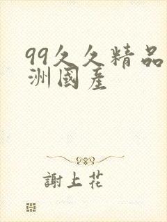 99久久精品亚洲国产