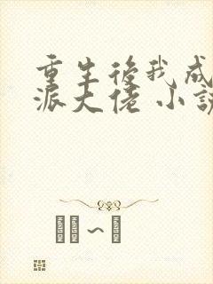 重生后我成了反派大佬 小说