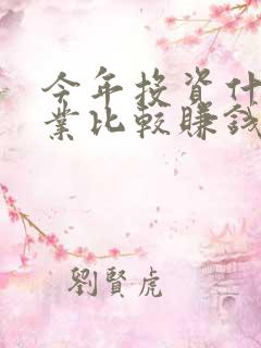 今年投资什么行业比较赚钱