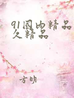 91国内精品久久精品