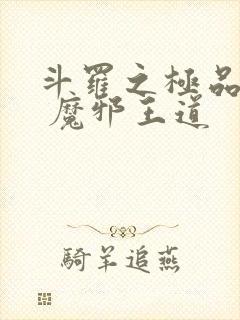 斗罗之极品武魂 魔邪王道