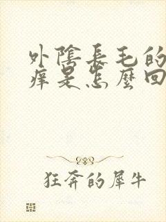 外阴长毛的地方痒是怎么回事