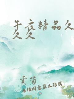 午夜精品久久久久久