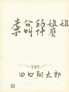 老公的姐姐的孩子叫什么