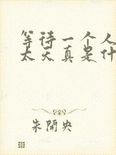 等待一个人终究太天真是什么歌