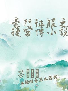 豪门征服之风云后宫传小说