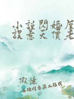 小说闪婚厚爱:误惹天价老公