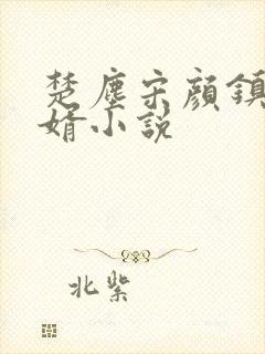 楚尘宋颜镇国神婿小说