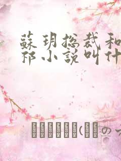 苏玥总裁和宋延祁小说叫什么