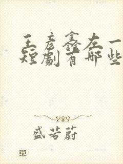 王彦鑫左一演的短剧有哪些