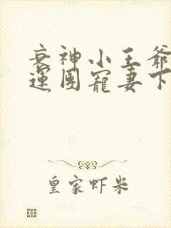 衰神小王爷的福运团宠妻下载txt