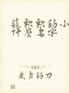 苏软软的小说叫什么名字