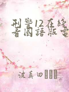 刑警12在线观看国语版电视剧