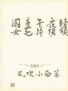 国产午夜精品美女毛片视频