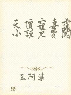 天价宠妻霍总裁小说免费阅读