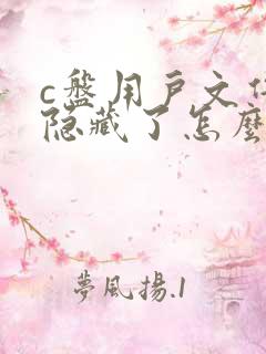 c盘用户文件夹隐藏了怎么恢复