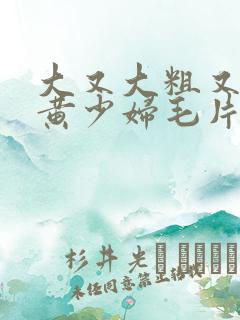 大又大粗又爽又黄少妇毛片口