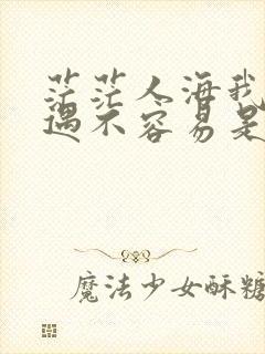 茫茫人海我们相遇不容易是什么歌