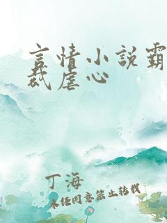 言情小说霸道总裁虐心