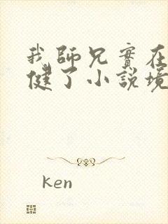 我师兄实在太稳健了小说境界划分