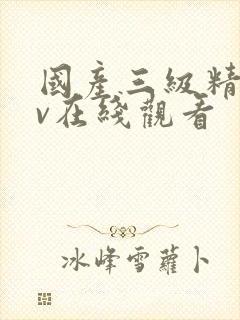 国产三级精品av在线观看