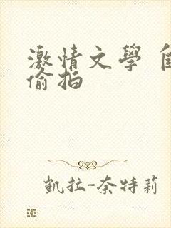 激情文学 自拍偷拍