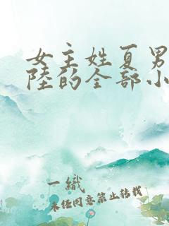 女主姓夏男主姓陆的全部小说