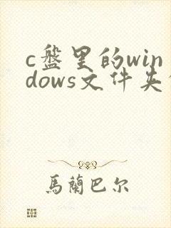 c盘里的windows文件夹的winsxs是什么