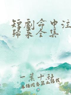 短剧命中注定缘归来全集