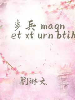步兵 magnet xt urn btih