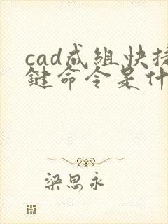 cad成组快捷键命令是什么