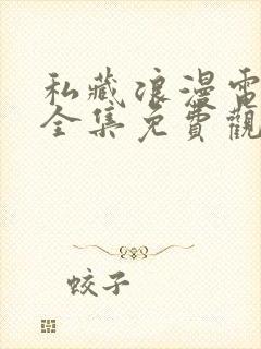 私藏浪漫电视剧全集免费观看高清